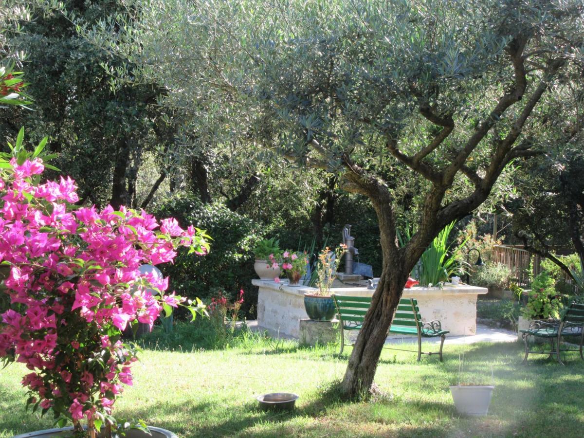 Domaine Du Bois Gite Bleuette Galargues Dış mekan fotoğraf